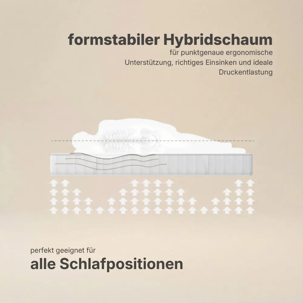 Grafische Darstellung der ergonomischen Druckentlastung durch formstabilen Hybridschaum der Hybridschaum Wendematratze 24 cm